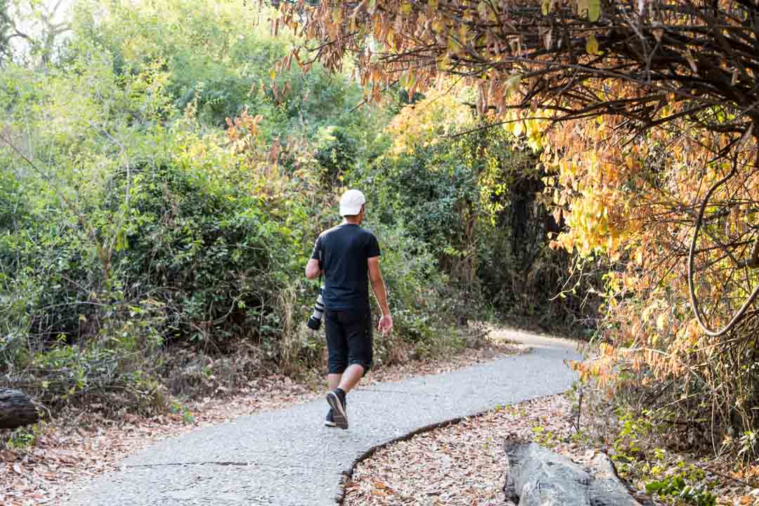 kävellen Victorian putouksille