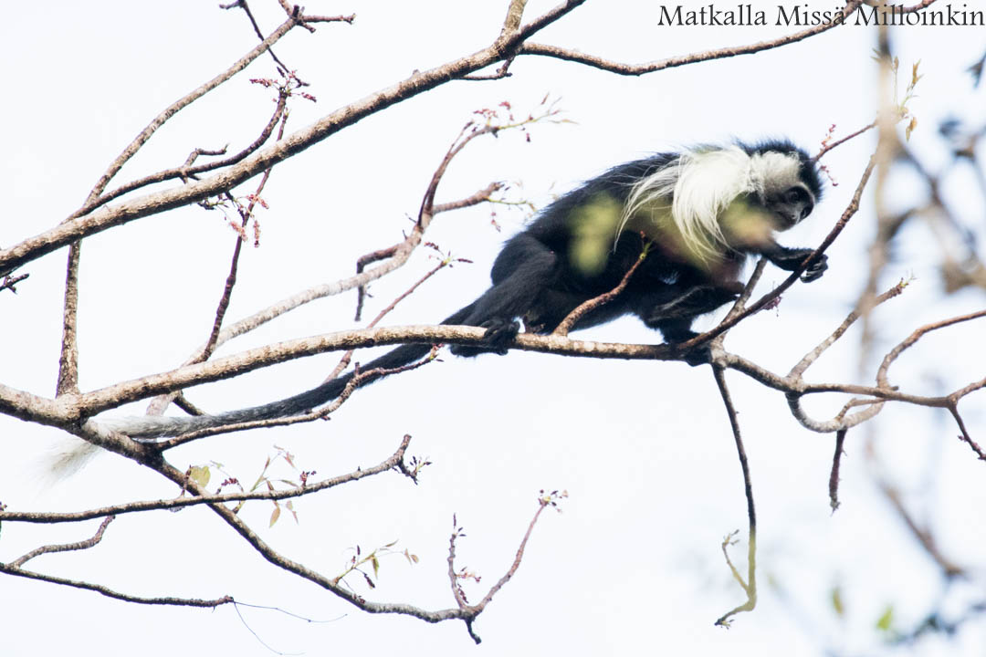 venetaksi Perämeren kansallispuistoon