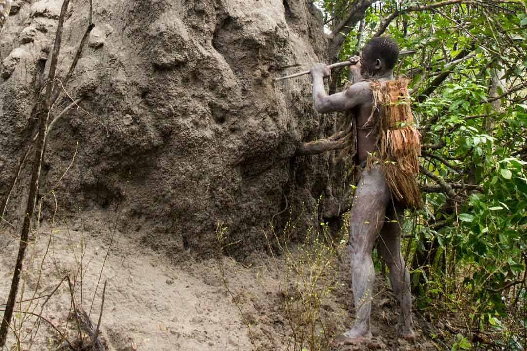 kävelysafari Nyereren kansallispuisto, Tansania