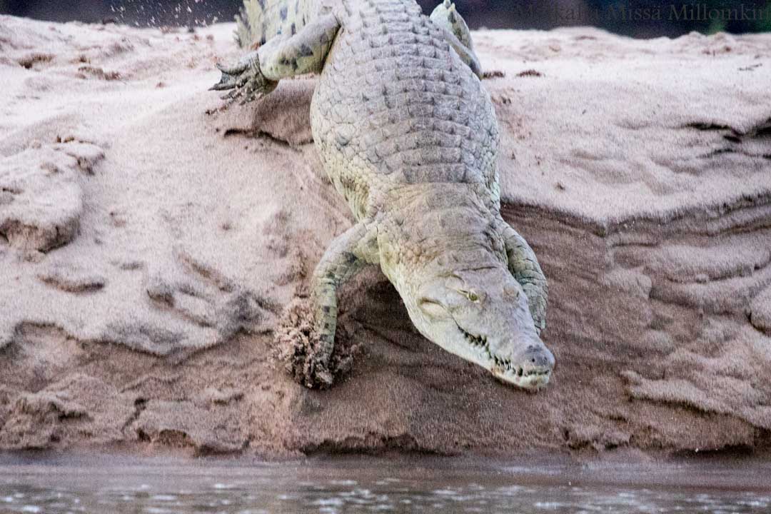 veneretki, Nyereren kansallispuisto Tansania