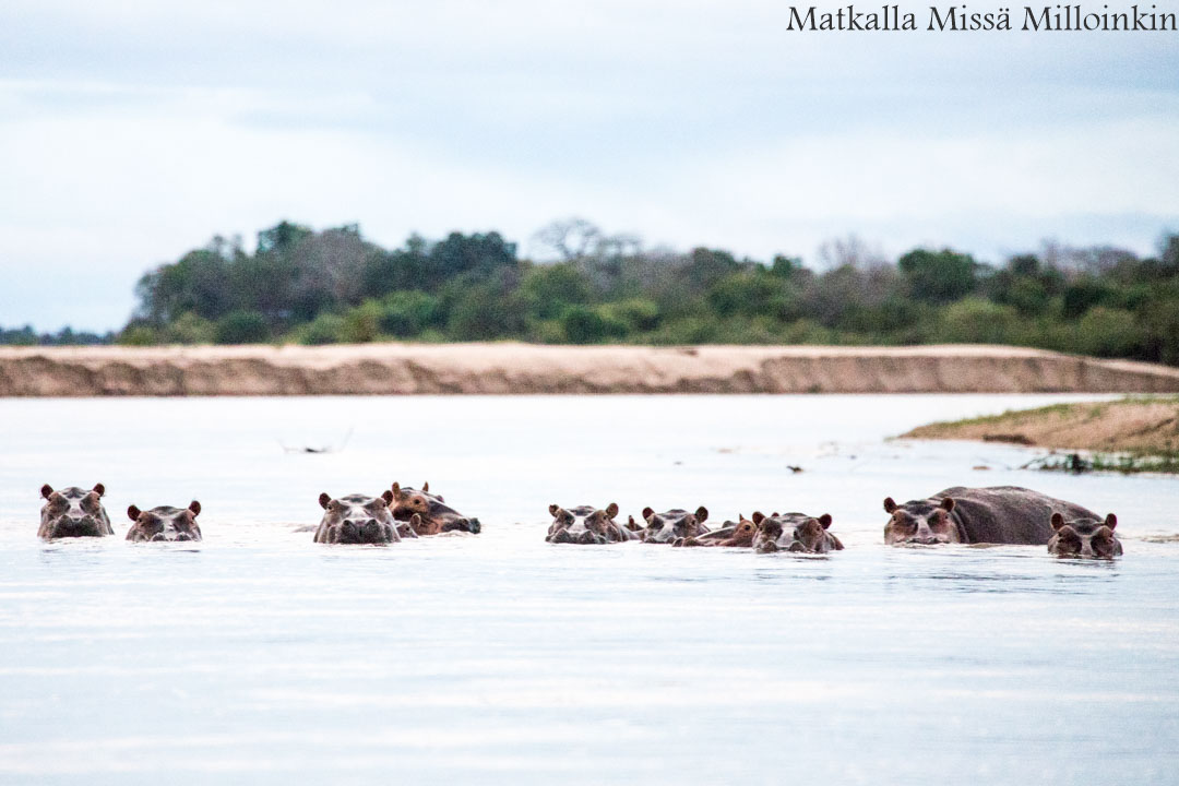 veneretki, Nyereren kansallispuisto Tansania