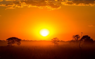 Pantanal — safarikokemuksia Pouso Alegressa
