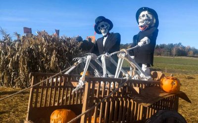 Salon Kurpitsaviikot