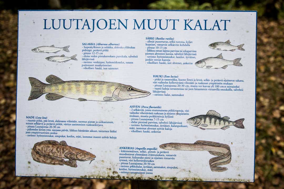 Evo, Luutajoen luontopolku