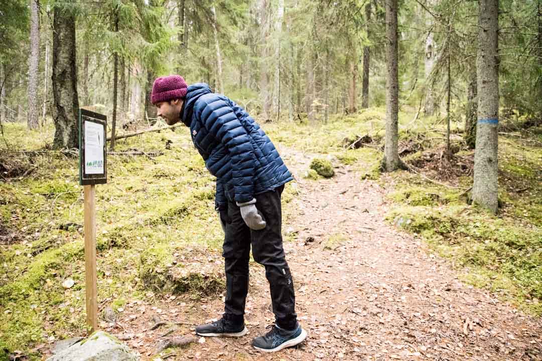 Evon retkeilyalue, Niemisjärvien luontopolku