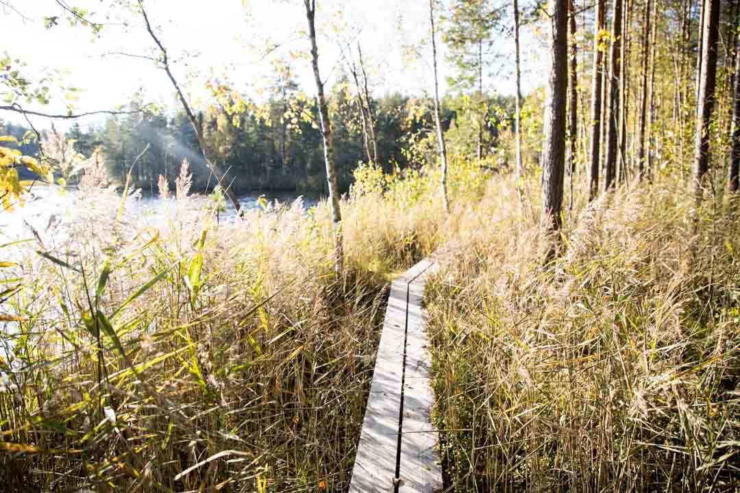 Evon retkeilyalue, Niemisjärvet