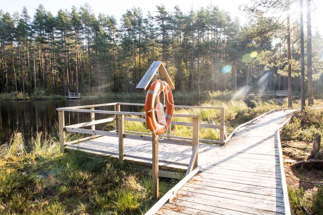 Evon retkeilyalue, kalastus