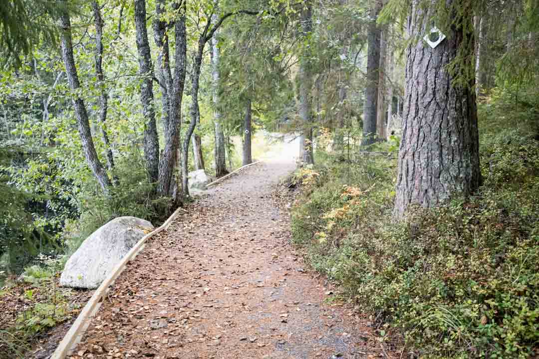 Evon retkeilyalue, esteetön reitti