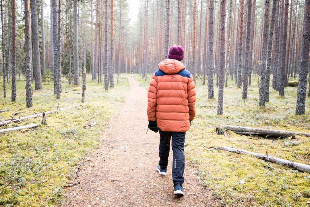 Komion luonnonsuojelualue