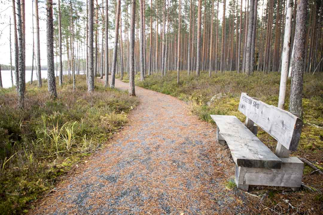 Komion luonnonsuojelualue, esteetön reitti