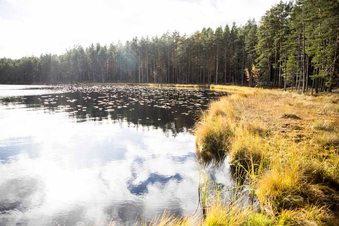 Saaren kansanpuisto, uimaranta