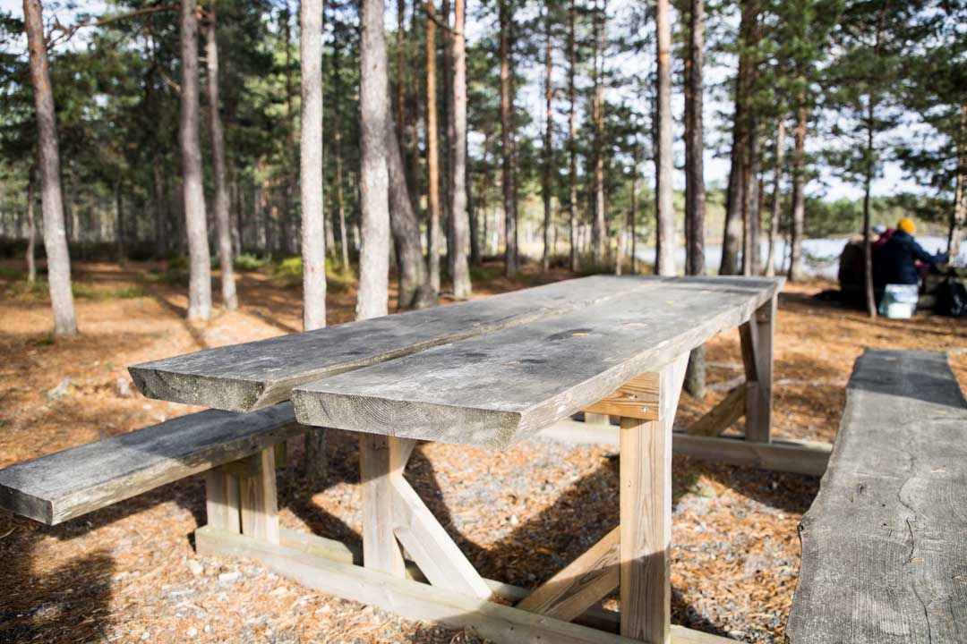 Komion luonnonsuojelualue, esteetön reitti