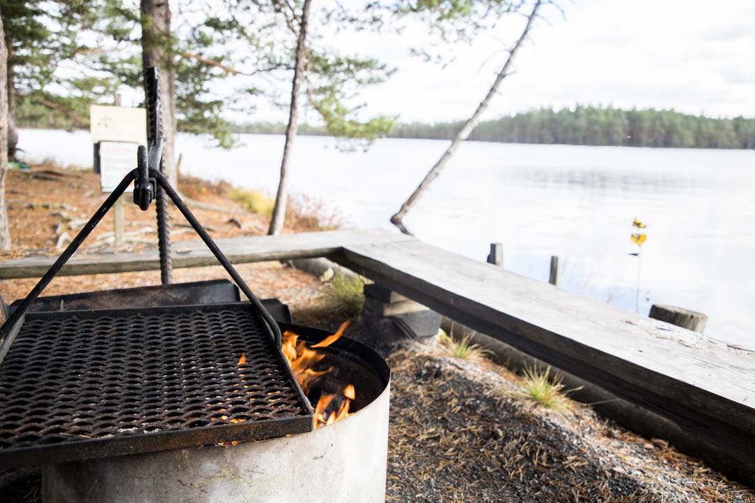 Komion luonnonsuojelualue, esteetön reitti