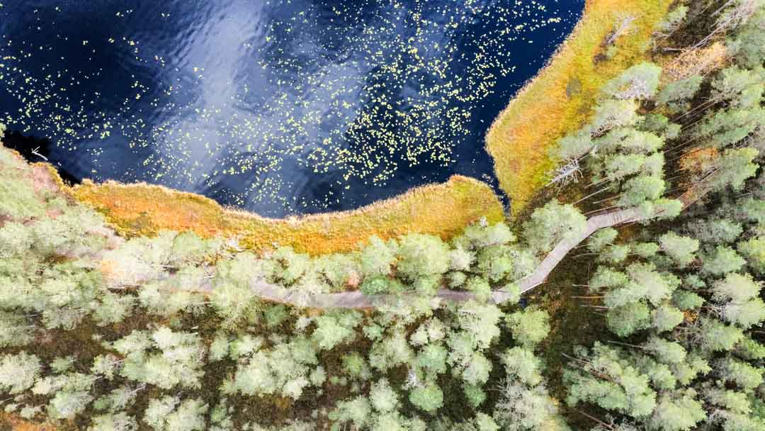 Komion luonnonsuojelualue, esteetön reitti