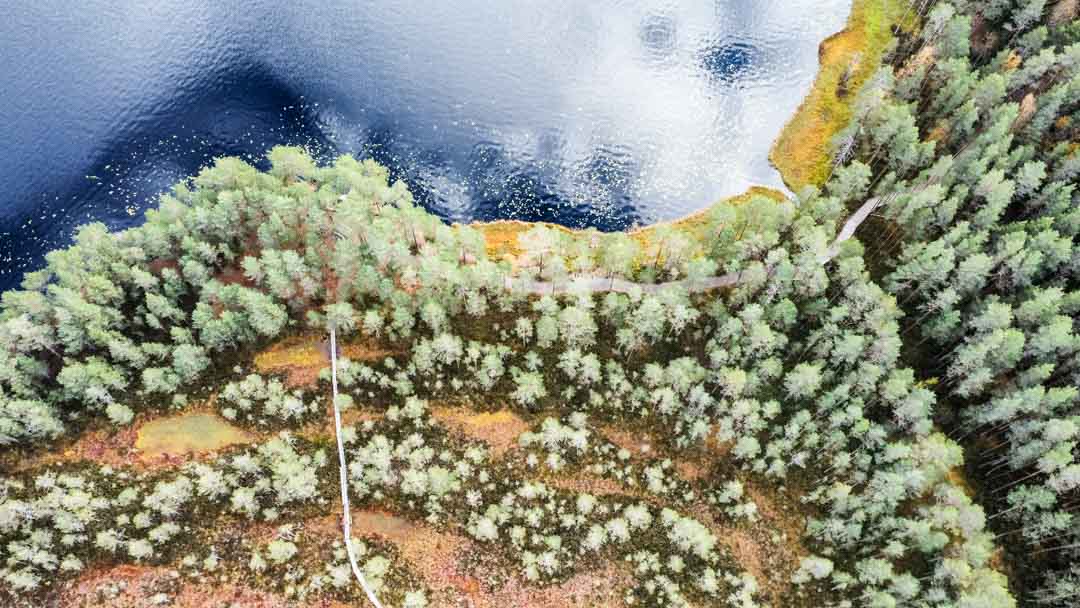 Komion luonnonsuojelualue, Luutaharjun Samo