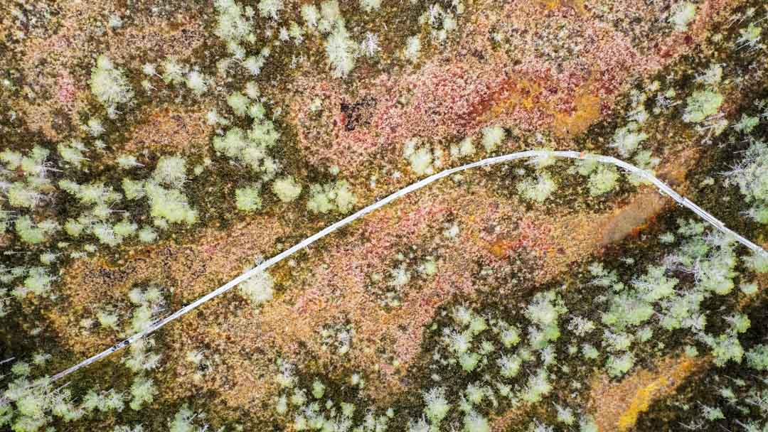 Komion luonnonsuojelualue, Luutaharjun Samo