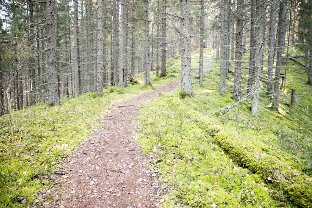 Komion luonnonsuojelualue, Pikku-Samo