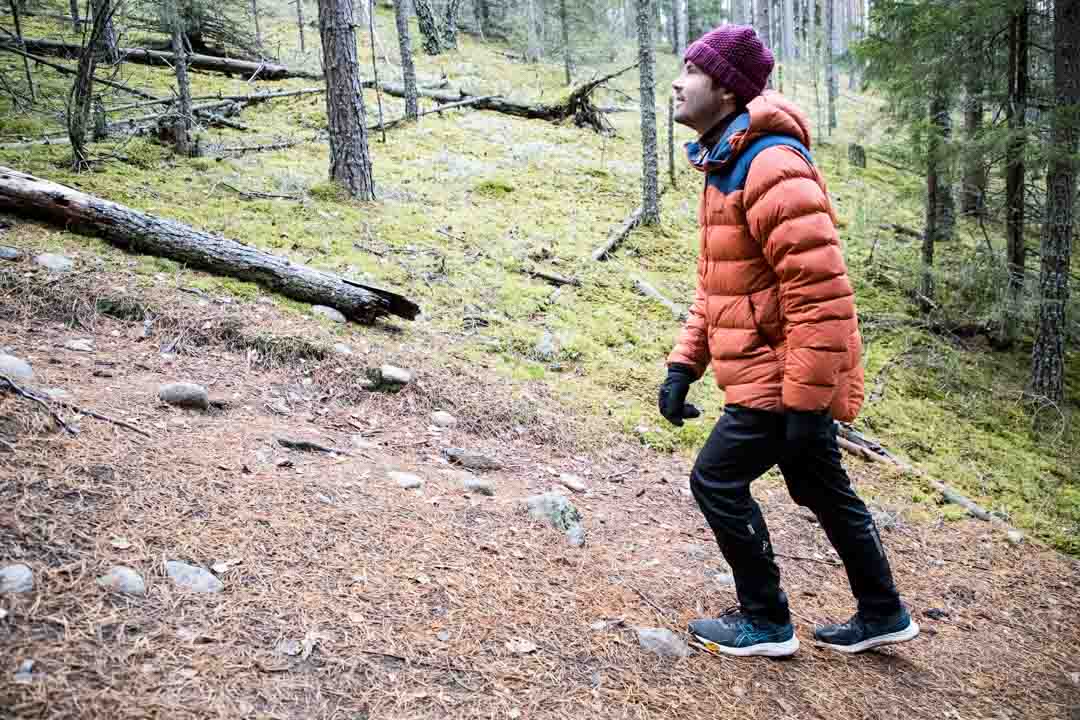 Komion luonnonsuojelualue, Luutaharjun Samo