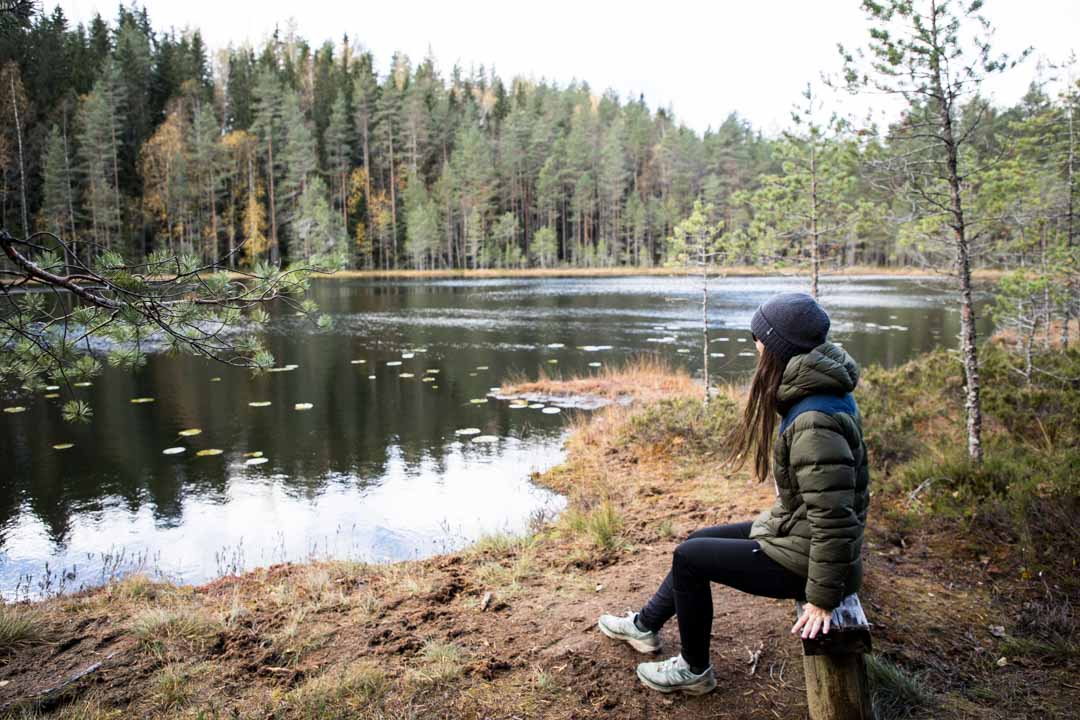 Komion luonnonsuojelualue, Luutaharjun Samo