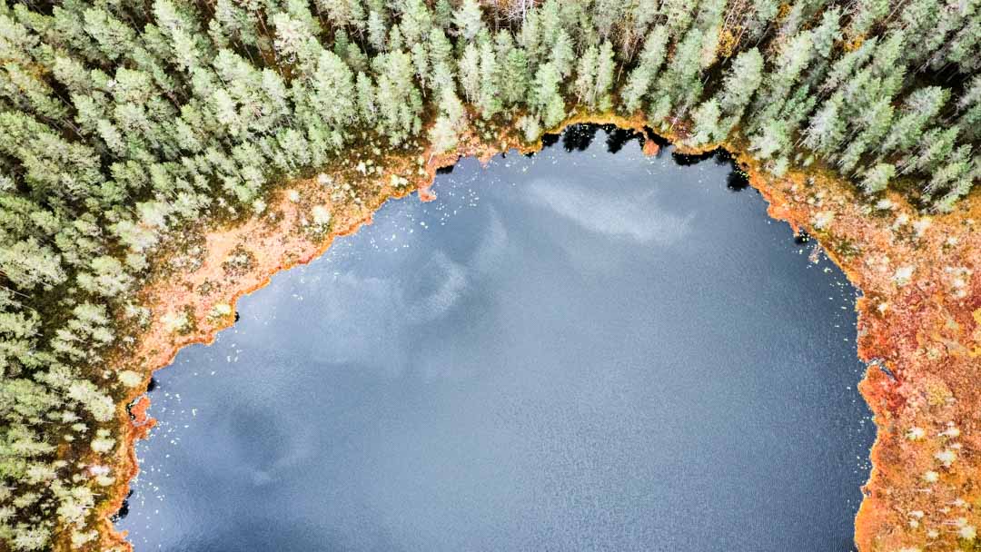 Komion luonnonsuojelualue, Lukkolampi