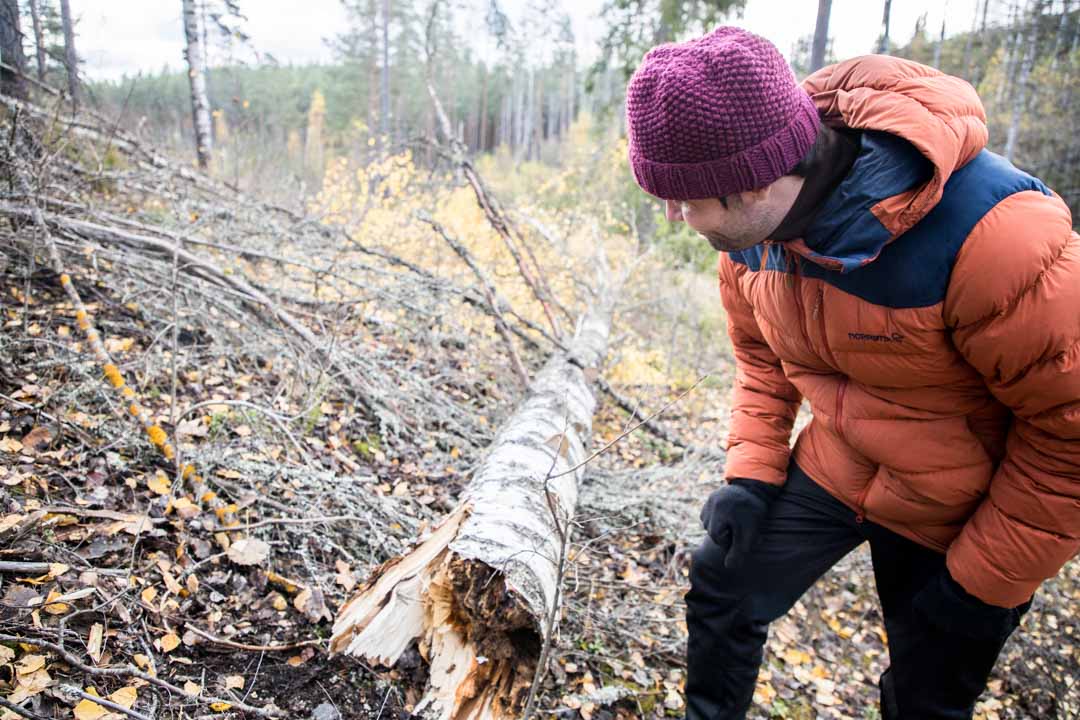 Komion luonnonsuojelualue