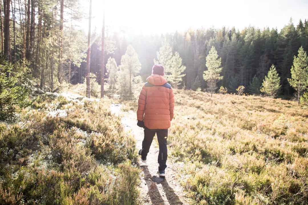 Komion luonnonsuojelualue, Pikku-Samo