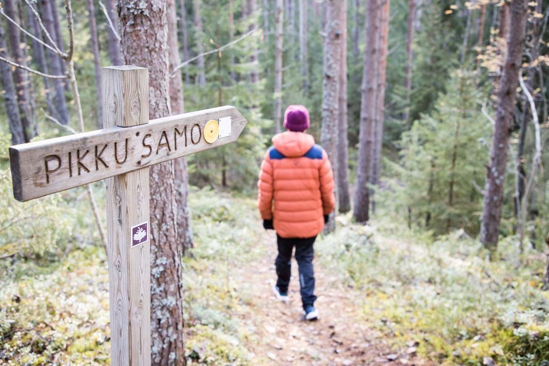 Komion luonnonsuojelualue, Pikku-Samo