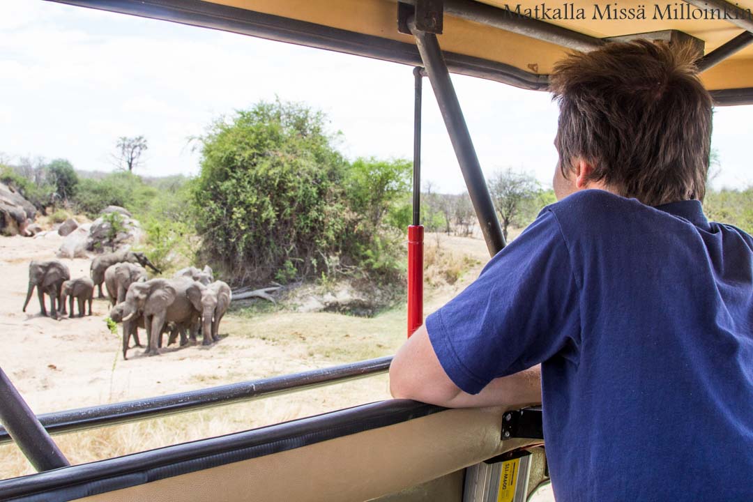 Ruahan kansallispuisto Tansania