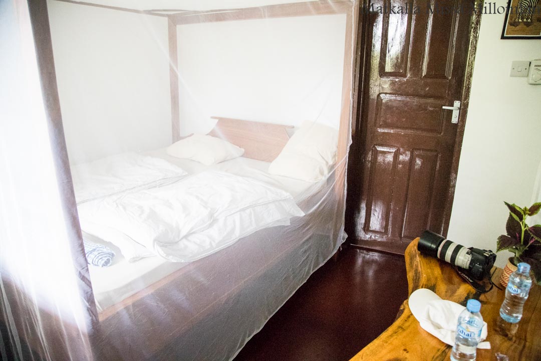 Victorian putoukset aktiviteetit benjihyppy