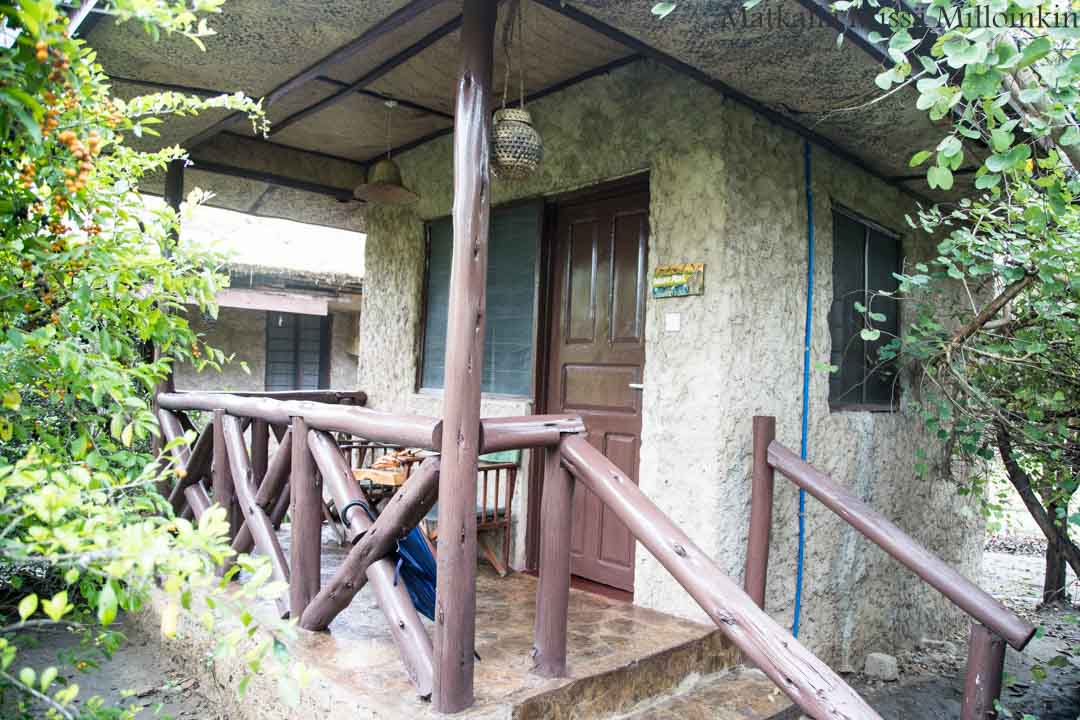 Victorian putoukset aktiviteetit benjihyppy