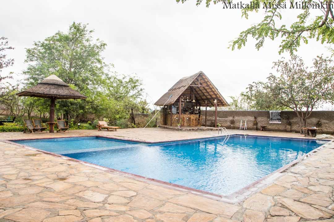 Victorian putoukset aktiviteetit benjihyppy