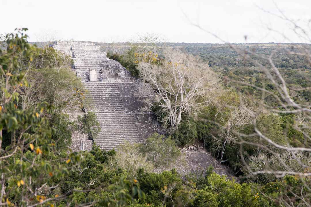 Calakmul, Meksiko, maya