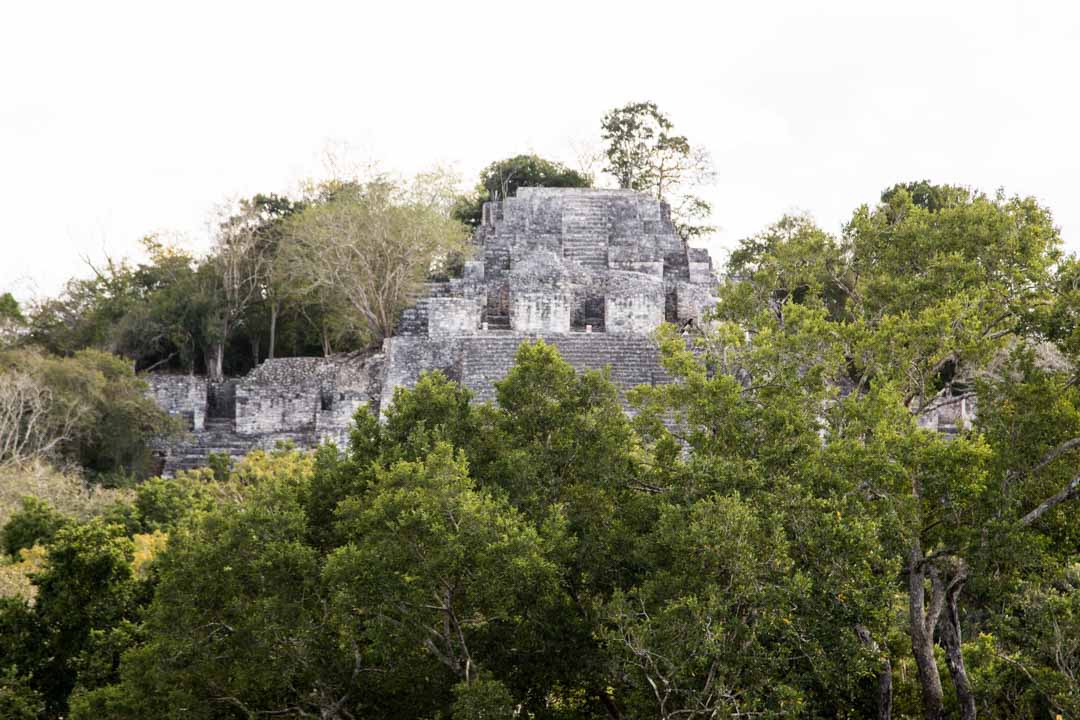 Calakmul, Meksiko, maya