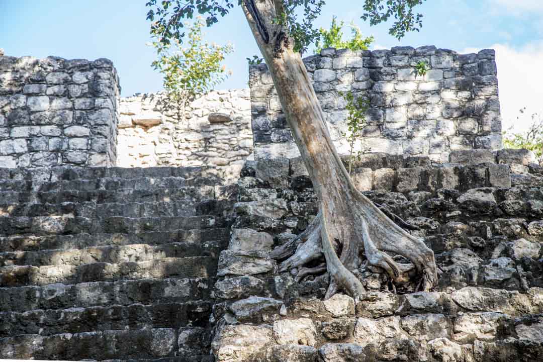 Calakmul, Meksiko, maya
