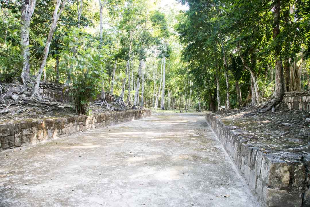 Calakmul, Meksiko, maya