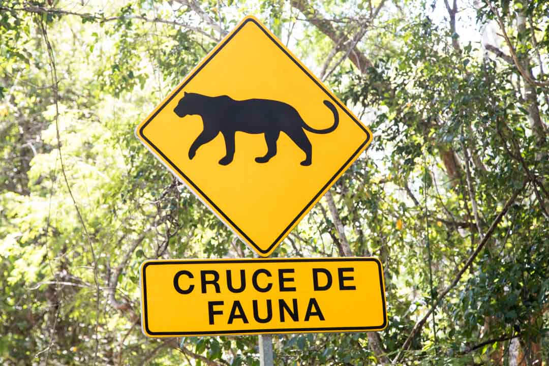 Gran cenote, Meksiko