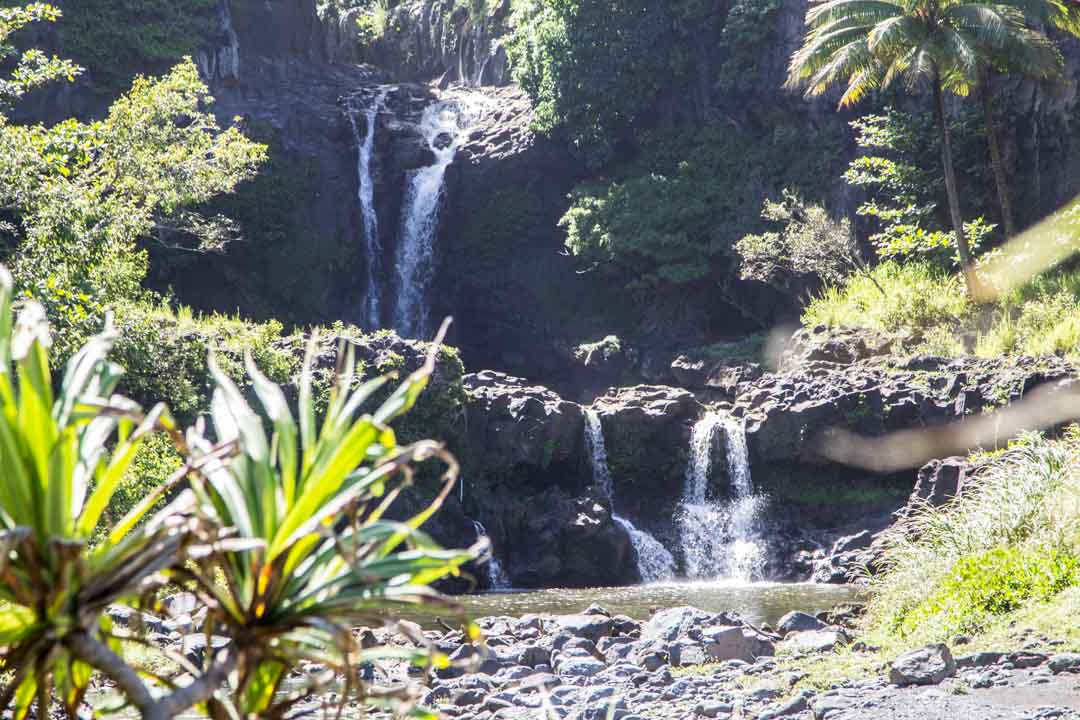 Kipahulu Maui, Kuloa Point Trail ja Kahakai Trail