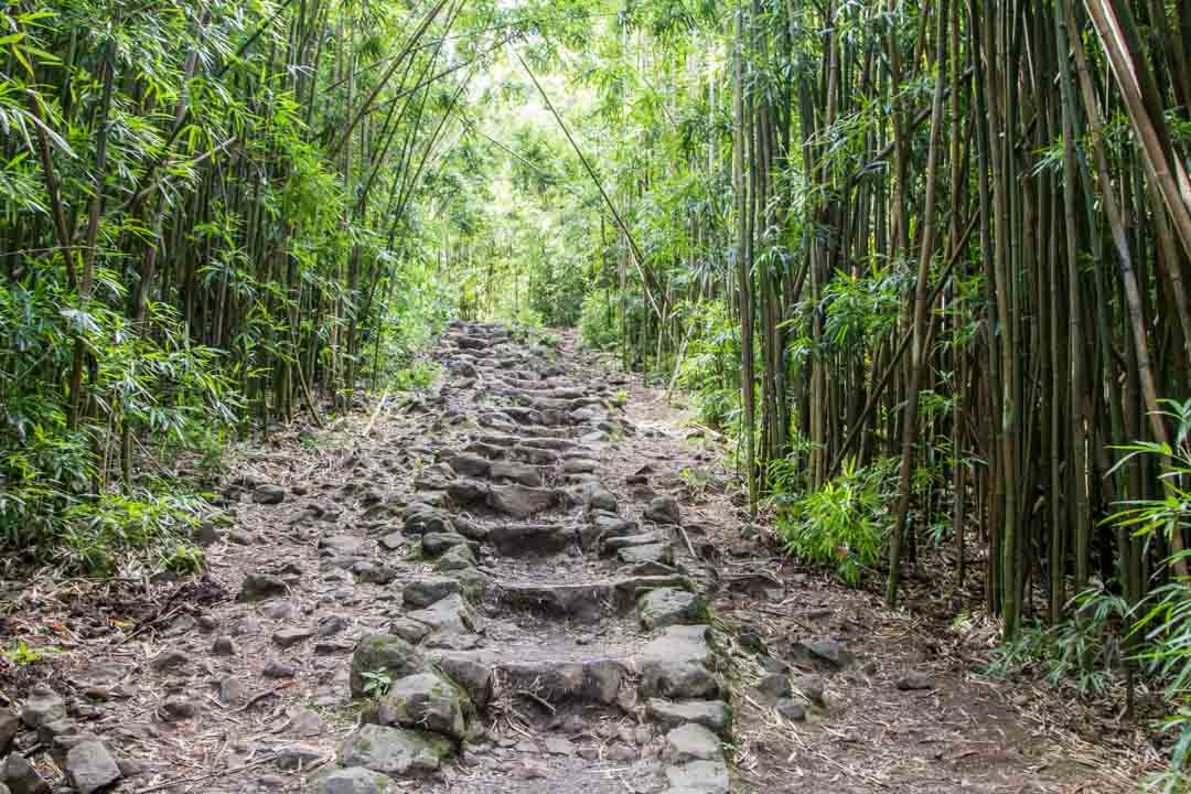 Pipiwai Trail, Kipahulu Maui