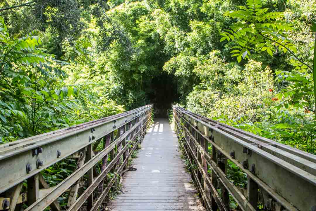 Pipiwai Trail, Kipahulu Maui