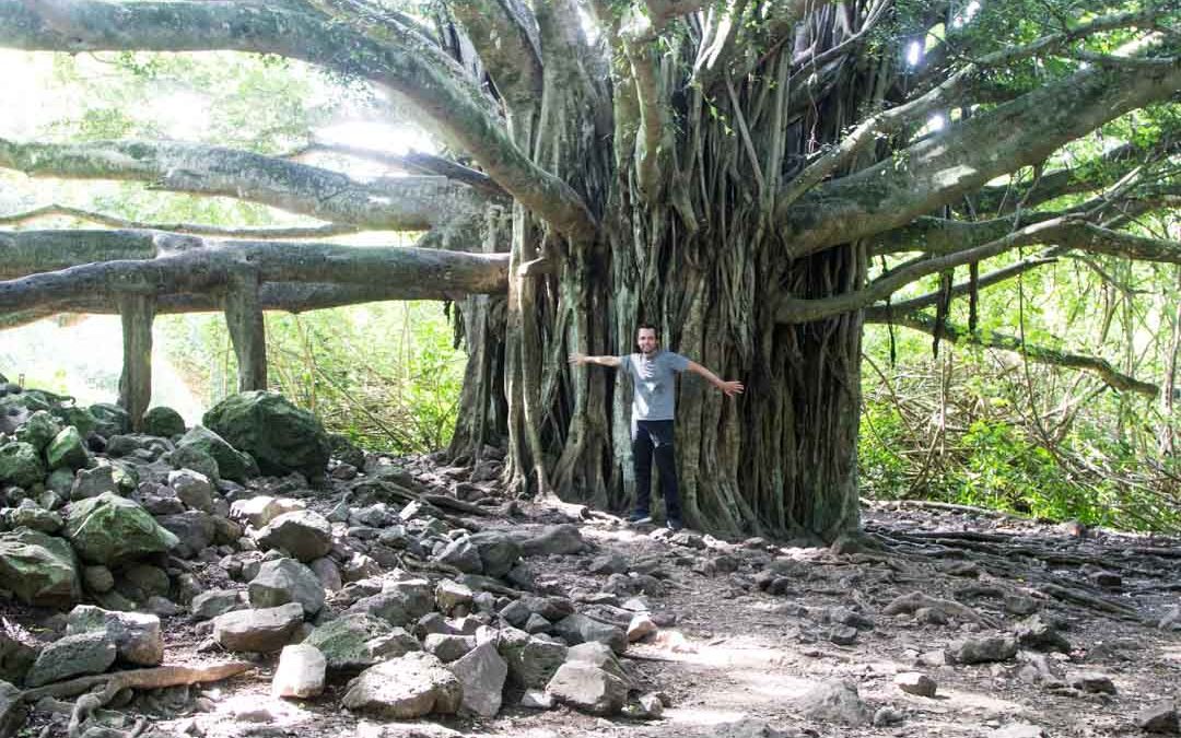 Maui – Road to Hanan Pipiwai Trail -patikka