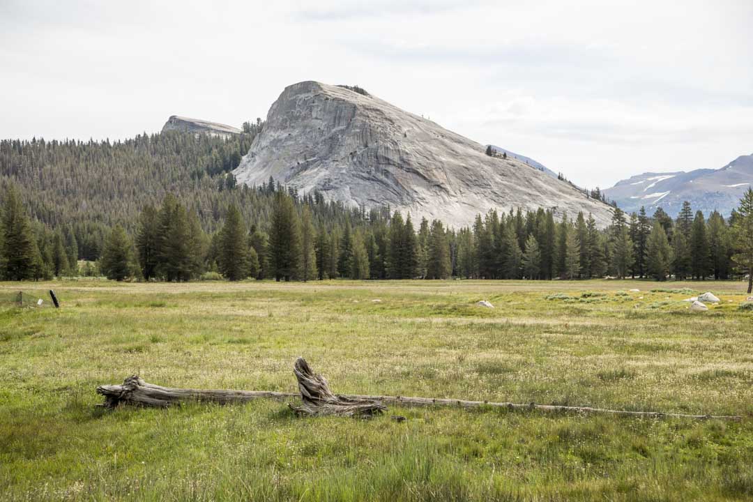 Toulumne Meadows, Yosemiten kansallispuisto, Yhdysvallat