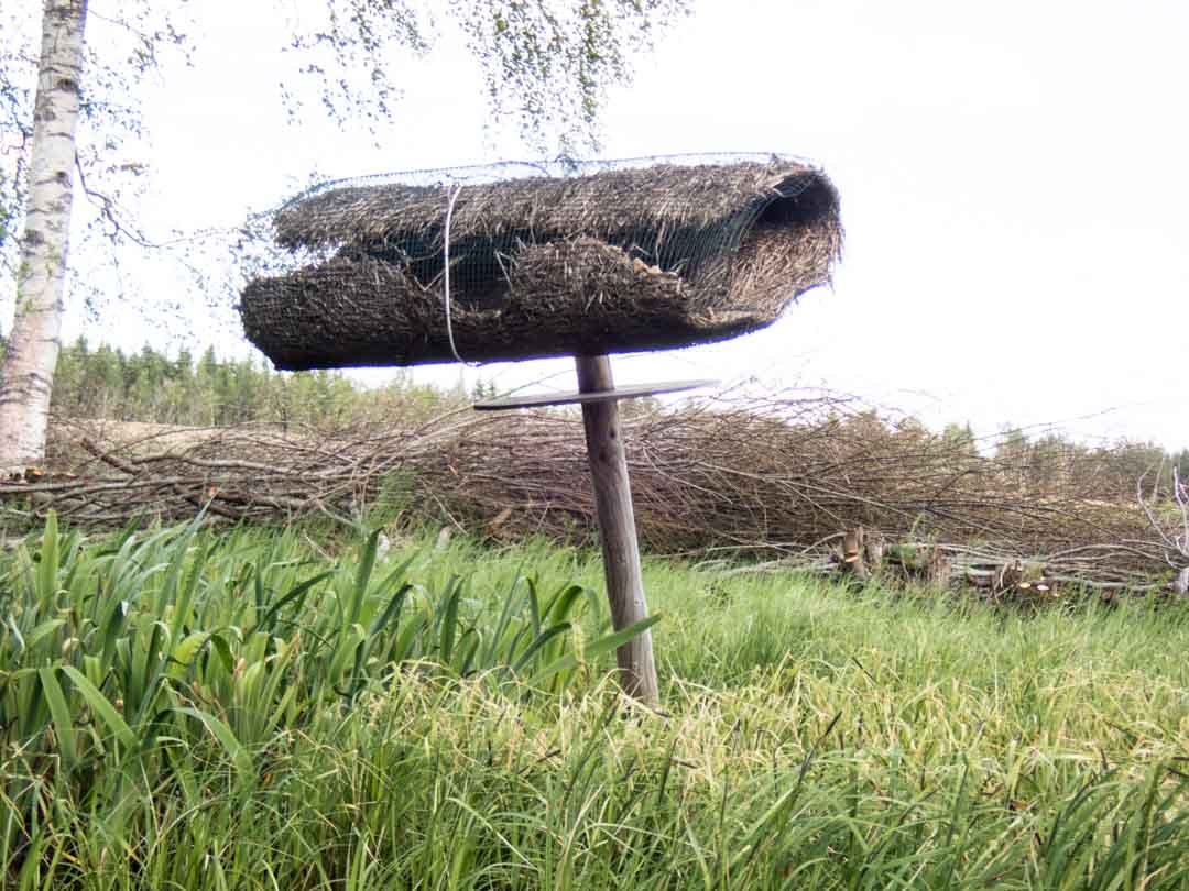 Komion luonnonsuojelualue, esteetön reitti