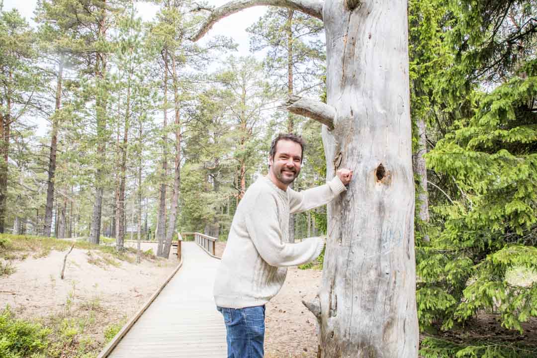 Fäbodan esteetön luontopolku