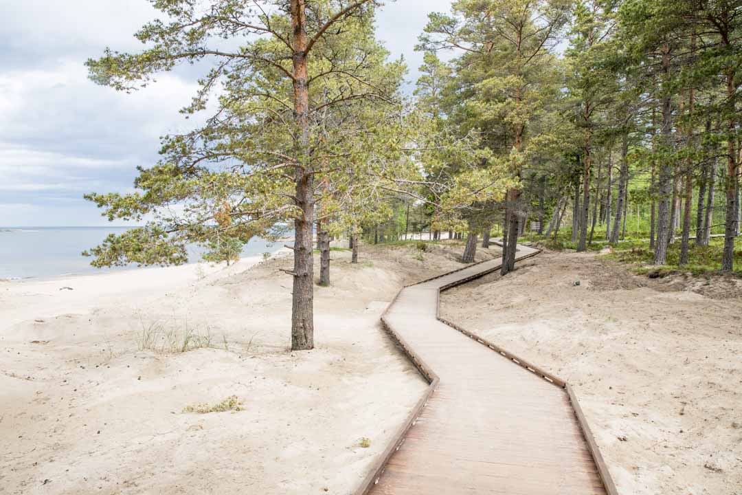 Fäbodan esteetön luontopolku