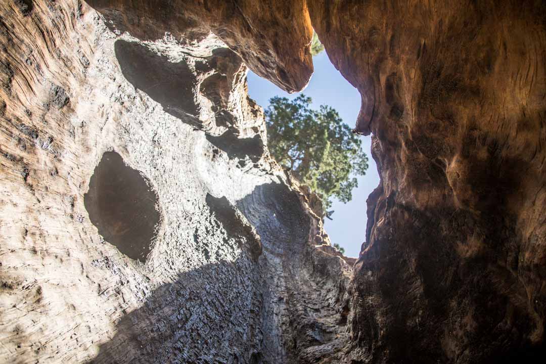 Sequoian kansallispuisto, Yhdysvallat