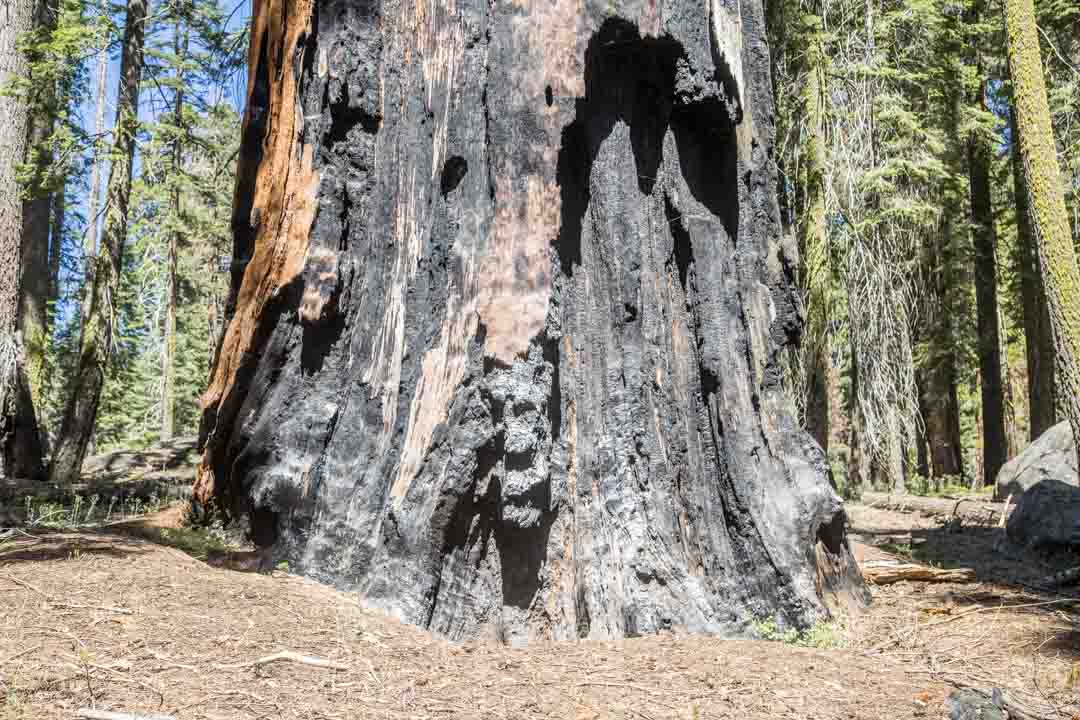 Half Dome, Yosemiten kansallispuisto, Yhdysvallat