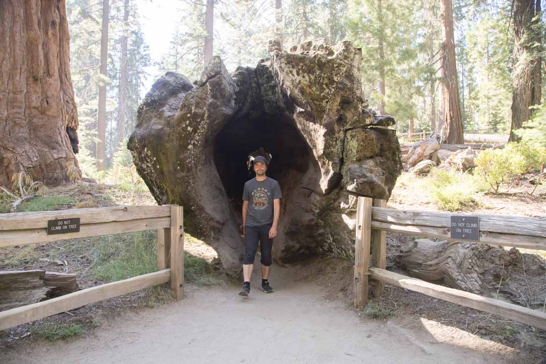 Grant Tree -patikka, Kings Canyonin kansallispuisto, Yhdysvallat