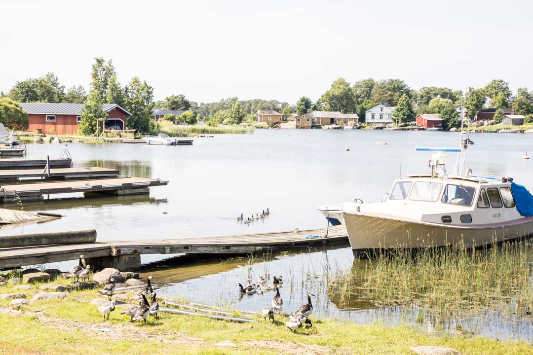 Haapasaari, Kotka