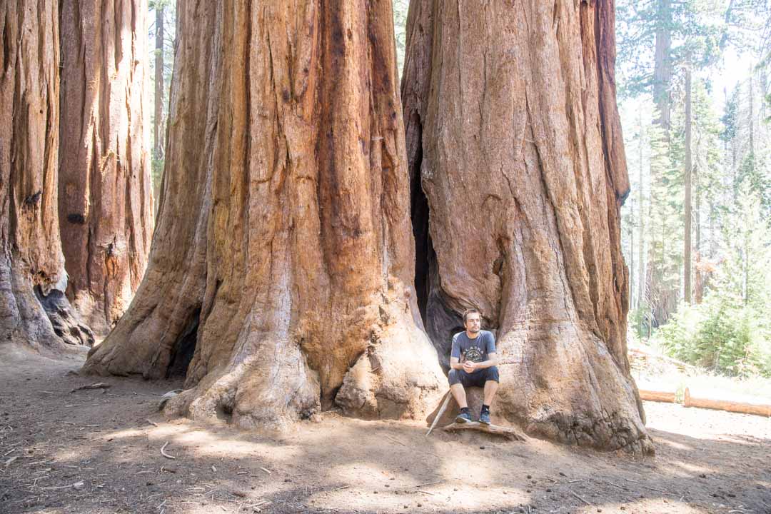 Sequoian kansallispuisto, Yhdysvallat