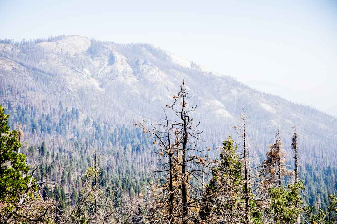 Redwood Mountain Overlook, Kings Canyonin kansallispuisto, Yhdysvallat